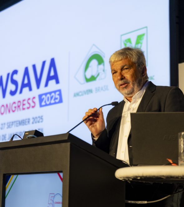 wsava2025_25-09-25_HildemarTerceiro-8670